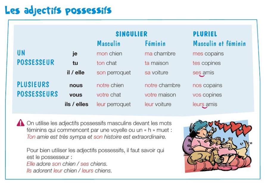 les_adjectifs_possessifs.jpg
