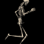 esqueleto03_5b1_5d_1_.gif