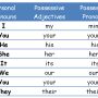 parts-of-speech-possessive-adjectives-explanation-examples.png